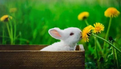 ayx体育ios-意甲天气影响比赛，足球也有“天气”因素，意甲日程